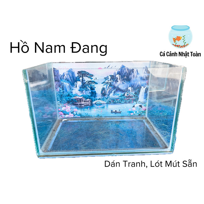 Hồ Cá Cảnh Nam Đang Dán Tranh Sẵn, Xốp Lót Bể Nuôi Cá Cảnh