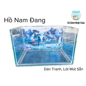 Hồ Cá Cảnh Nam Đang Dán Tranh Sẵn, Xốp Lót Bể Nuôi Cá Cảnh