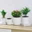 PWSEND Chậu hoa hấp thụ nước lười biếng, Đồ dùng làm vườn Chậu trồng cây Mini Chậu hoa tự tưới nước, Chậu hoa hấp thụ nước màu trơn bền bằng nhựa