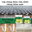 300g Keo chống thấm trong suốt Nhật Bản trọng lượng tặng kèm chổi quét nhỏ