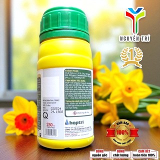 Phân Bón Canxi-Silic Hợp Trí CaSi (Chai 500ml) - Giúp Cứng Cây, Dựng Lá, Chắc Quả, Tăng Đề Kháng