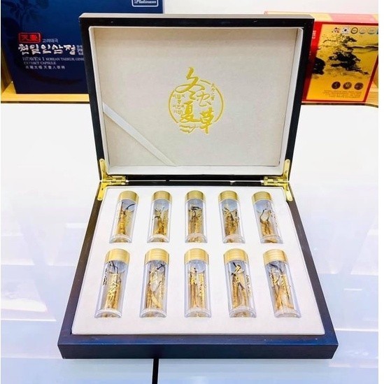 GIÁ SHOCK] ĐÔNG TRÙNG HẠ THẢO NGUYÊN CON BHUTAN-(HÀNG ĐẶC BIỆT)  10gr(10-15 con) thượng phẩm đại bổ MS01