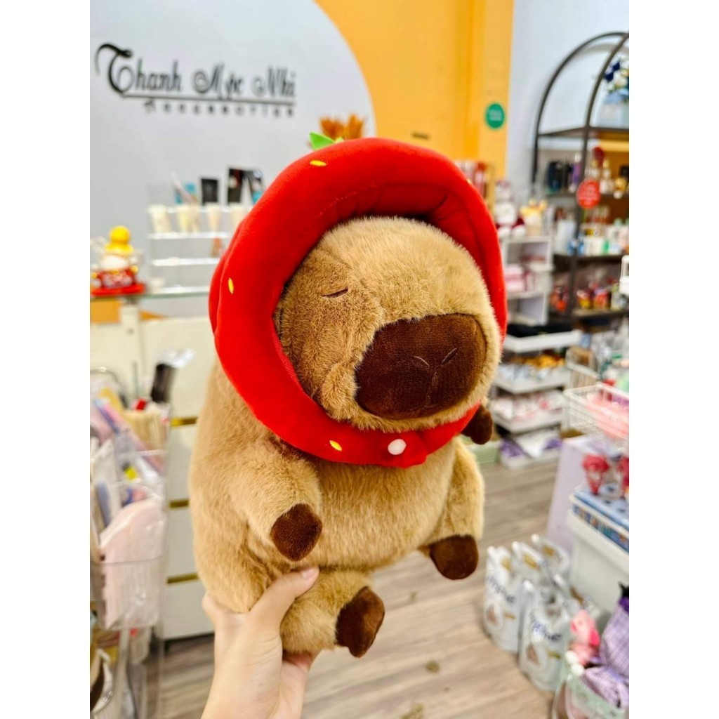 Capybara Nhỏ Capybara Giá Rẻ Hàng Cao Cấp Gấu Capybara Mini Đáng Yêu Kích Thước 20 Đến 35Cm