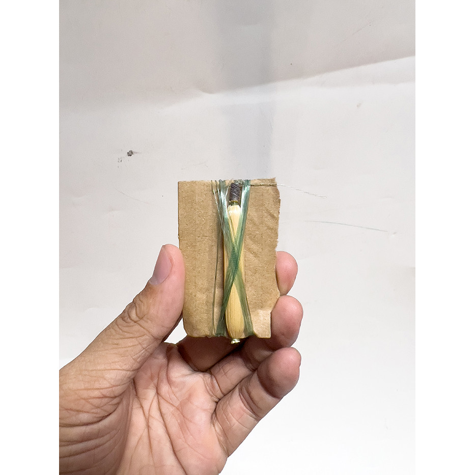 (3 Phao) Phao Bắp + 2m5 Dây Cước + Chì Câu Cá