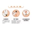 Lỗ Giày Phụ Kiện Giày Hoa crocs Phụ Kiện diy Cô Gái Dễ Thương Hoạt Hình 3d Ba Chiều KT Giày Mèo Hoa