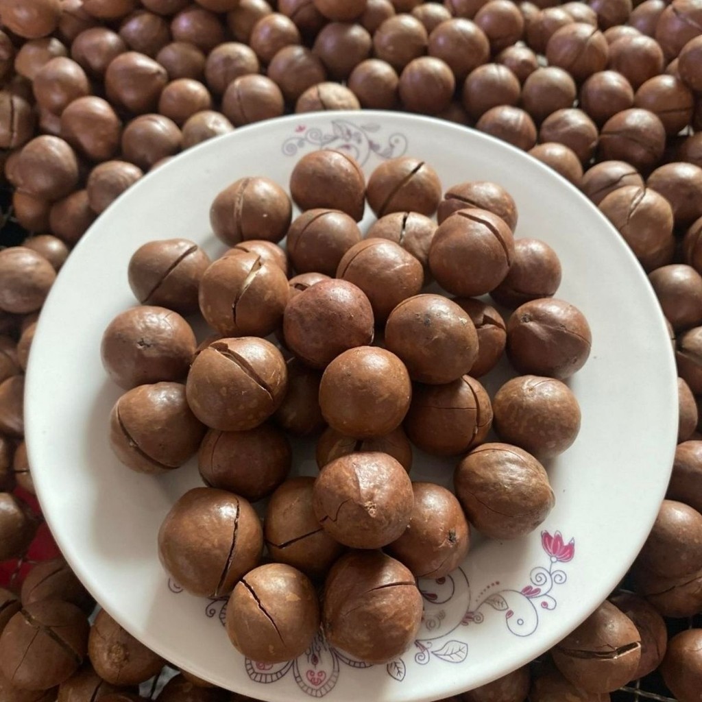 1Kg Hạt Macca SAI TO  còn vỏ đã sấy chín và đã tách nứt ( hàng ăn liền)