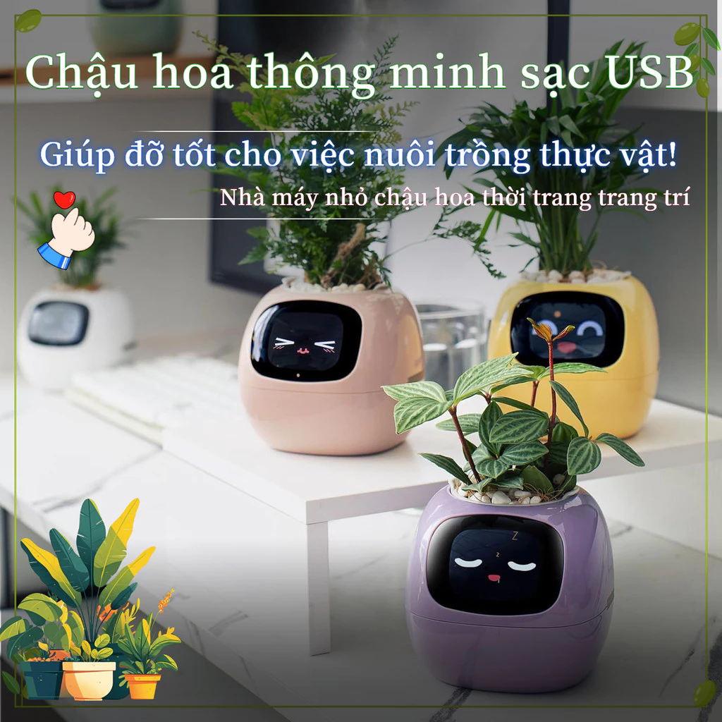 Chăm sóc cây và trang trí để tăng thêm không gian xanh cho ngôi nhà của bạn.