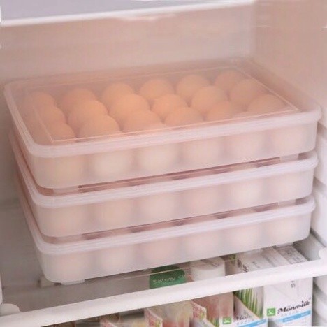 Hộp đựng trứng gà vịt tiện dụng AMIZIN Hộp đựng trứng 24 quả trong tủ lạnh bảo quản lâu Babee