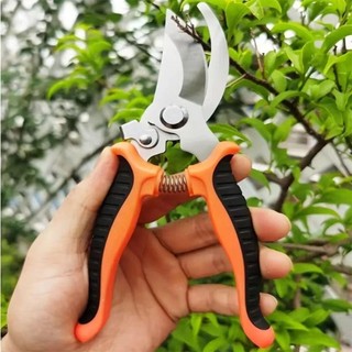 Jkdesign Kéo làm vườn, Kéo cắt tỉa cành bằng thép không gỉ hình mỏ chim, Dụng cụ làm vườn chuyên nghiệp Tiết kiệm nhân công Kéo hái trái cây