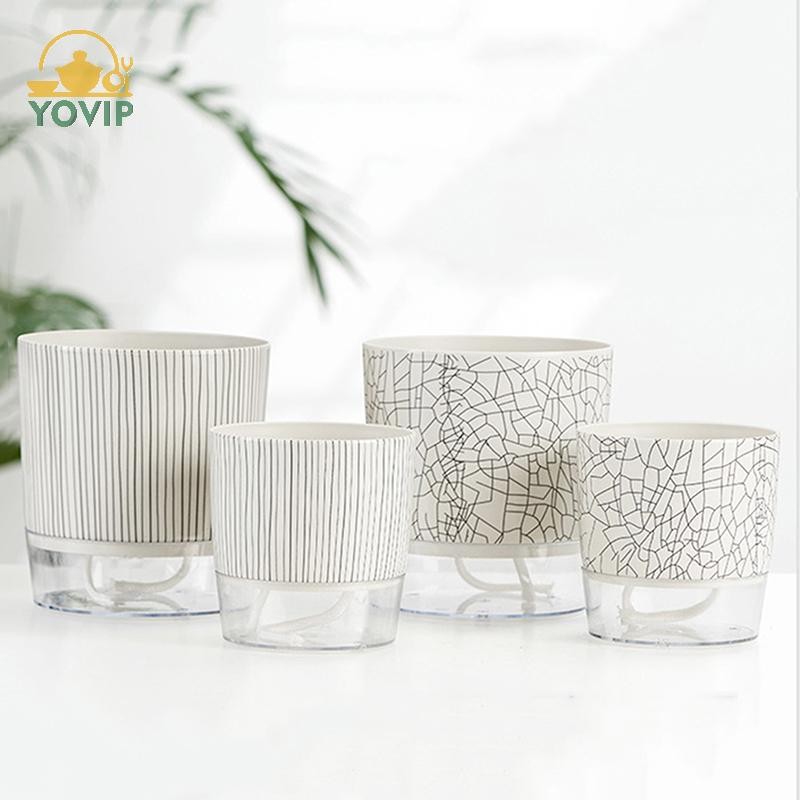 YOVIP Chậu cây tự tưới nước trong suốt có hộp đựng nước Chậu hoa Cây xanh er cho sân vườn Trang trí cây cảnh VN