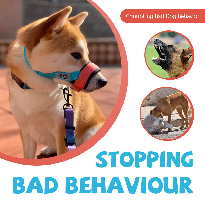 XPAWS Chó Mõm Mềm Mại Thoải Mái Chống Sốc Lót Đường Viền Vừa Thở Mở Kích Thước Có Thể Điều Chỉnh Phát Hành Nhanh
