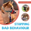 HamshMoc Pet Muzzle Nhẹ Nylon Snout Bảo Vệ Tác Động Đệm Thiết Kế Giải Phẫu Dễ Dàng Bật Tắt Khóa