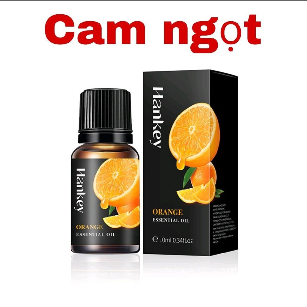 3 tinh dầu TẶNG máy xông ( Combo trải nghiệm chỉ 59k ) Thơm phòng, thư giãn, đuổi mũi