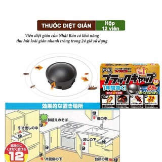 Thuốc Diệt Gián, Hộp 12 Viên, Diệt Tận Gốc, Dễ Sử Dụng, Tác Dụng Lâu Dài, An Toàn SUNND