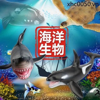 Đồ Chơi Trẻ Em Kích Thước Lớn Động Vật Biển Mô Hình Sinh Vật Dưới Biển Cao Su Mềm Cá Mập Trắng Lớn Cá Heo Cá Mập Sát Thủ Cá Voi Bé 61