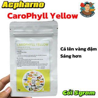 Gói Bột 5gram Carophyll Chất tạo sắc tố vàng dành cho cá cảnh ACPharno tăng màu vàng