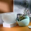 Stay Silicone Flowerpot Khuôn Hình Động Vật Cốc Khuôn Silicon Thủ Công Khuôn Làm Cây mọng Nước Khuôn Làm Thủ Công