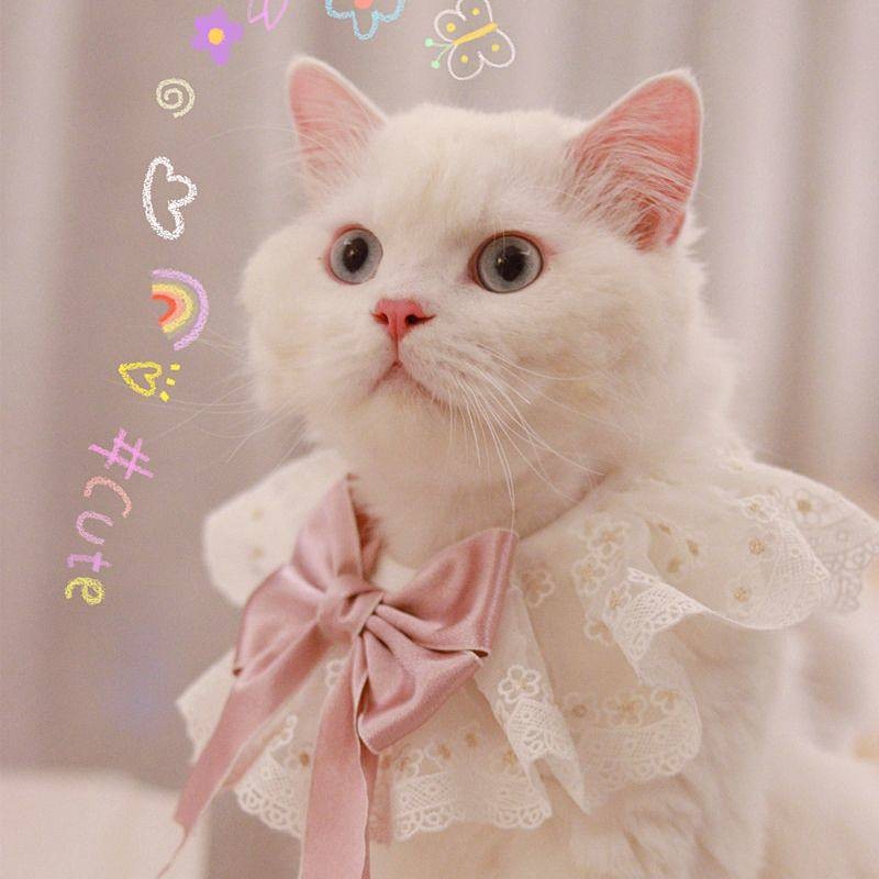 【Ready Stock】 Pet Cat Dog Rabbit Lace Collar Saliva Towel Photo Accessories New New Year Christmas Scarf Bib xzmU