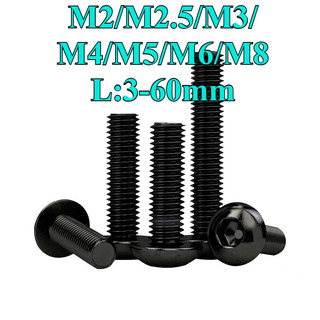 ((LXY) Vit /Ốc Vít  pake đầu tròn inox 304 Đen /Bulong  Đầu Tròn M2 / M2.5 / M3 / M4 / M5 / M6 / M8 * L: 3-60mm (RM-VN-1)