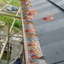 Màn hình máng xối DELMER, duy trì lưới thoát nước mịn, dễ dàng lắp đặt Ngăn chặn tắc nghẽn Bộ lọc bảo vệ máng xối bằng nhựa cắt ngẫu nhiên trên nóc