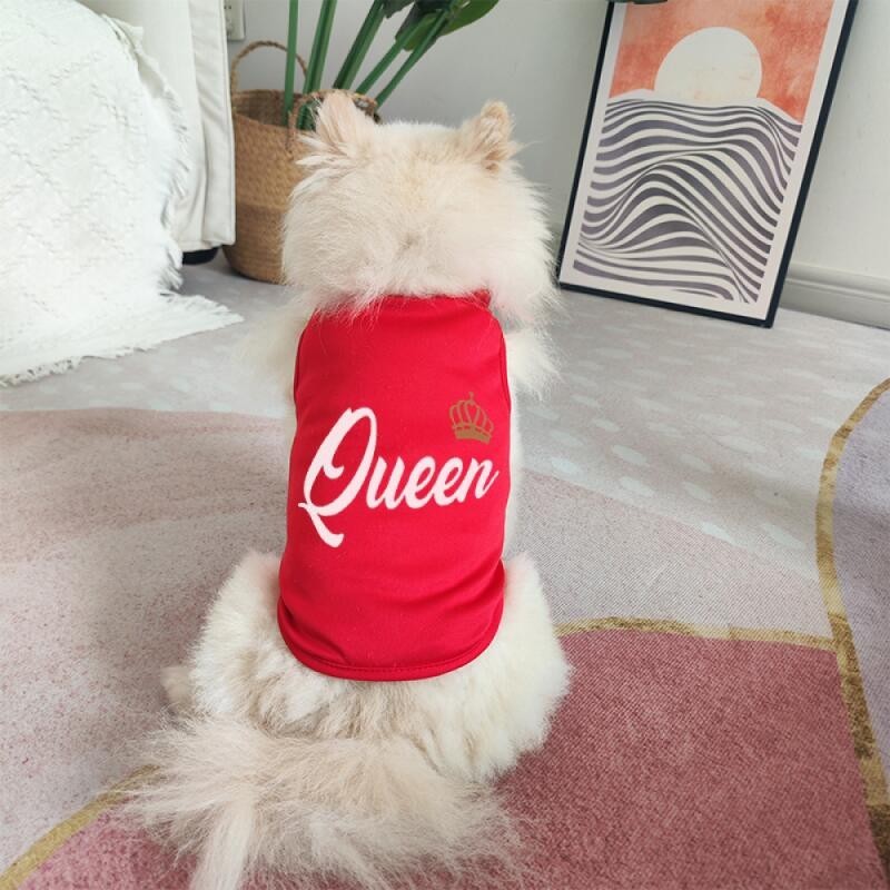 Áo Vest in hình mèo / chó họa tiết King and Queen Áo Vest mèo và chó thoáng khí cho chó nhỏ và vừa
