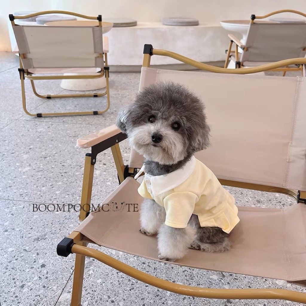 Quần Áo Thoáng Khí Chó Nhỏ Schnauzer Áo polo Dễ Thương Mỏng Phong Cách Teddy Mùa Xuân Mùa Hè Pomeranian Quần Áo Mèo Bichon WPC7 & & & -
