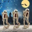 Bộ xương Halloween CHEESELY, Trang trí cảnh ngộ của xác ướp Ghoul, Trang trí ma cà rồng bằng nhựa phù thủy