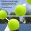 Bóng Tennis AMBU, Bóng chơi thú cưng không độc hại bền bỉ, Bóng tập luyện đàn hồi ngoài trời