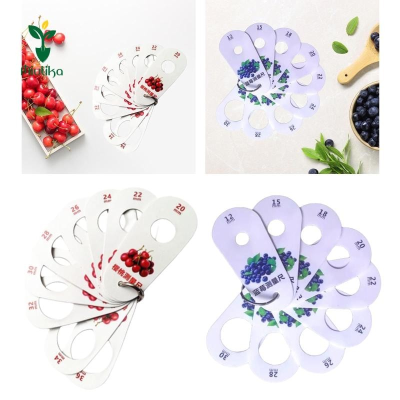Thước đo trái cây, Dụng cụ đo đường kính trái cây di động, việt quất