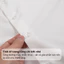 Áo sơ mi trắng nam cộc tay Phan Nguyễn, chất liệu modal mềm mịn, thoáng mát, form slim fit SMC.545