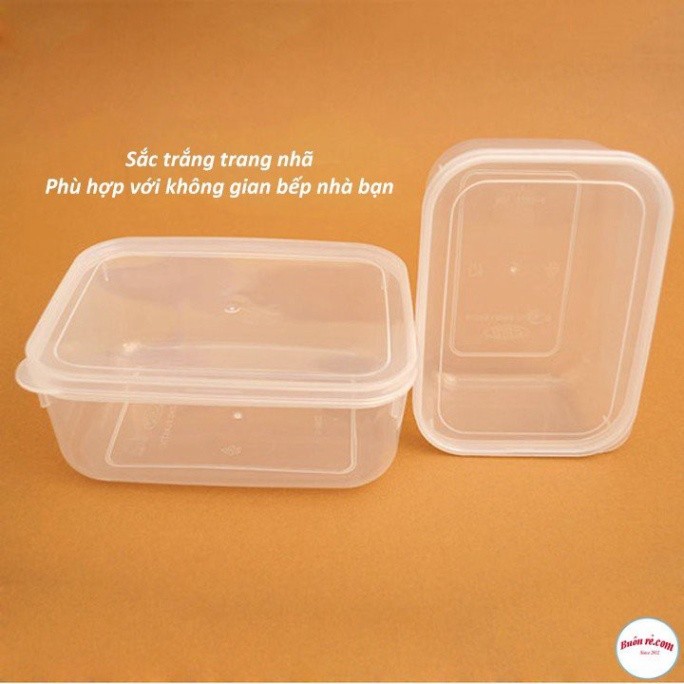 Bộ 5 hộp lạnh bầu đựng thức ăn Việt Nhật -Hộp trữ đồ đông đồ ăn dặm cho bé (MS:6685) an toàn tiện lợi - br 01285 Babee