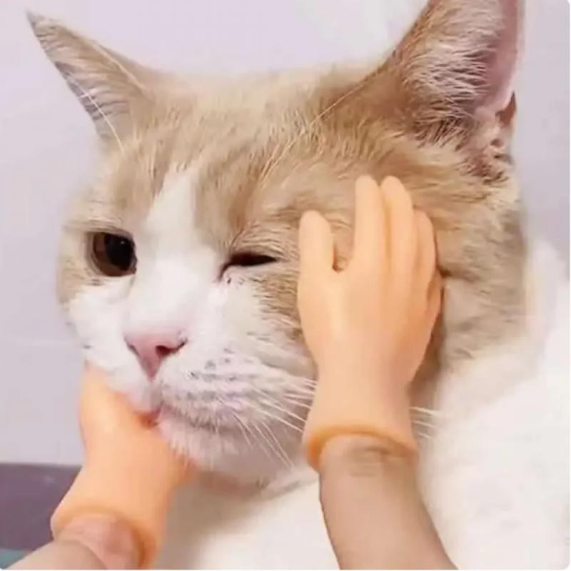 Nắp Ngón Tay Nhỏ Tiktok Năm Ngón Tay Mở Lòng Bàn Tay Mini Ngón Tay Nhỏ Trêu chọc Mèo Đồ Chơi Nhỏ Sáng Tạo Ngộ nghĩnh