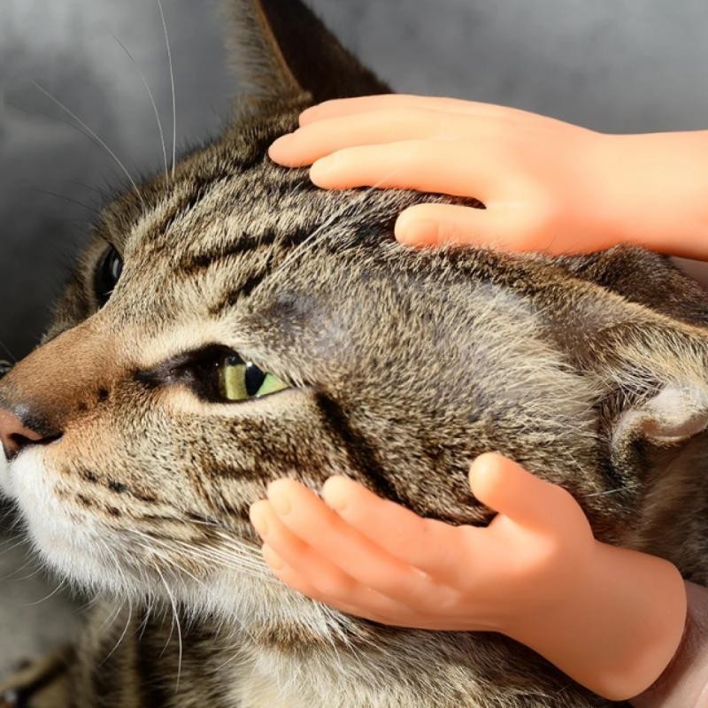 Nắp Ngón Tay Nhỏ Tiktok Năm Ngón Tay Mở Lòng Bàn Tay Mini Ngón Tay Nhỏ Trêu chọc Mèo Đồ Chơi Nhỏ Sáng Tạo Ngộ nghĩnh