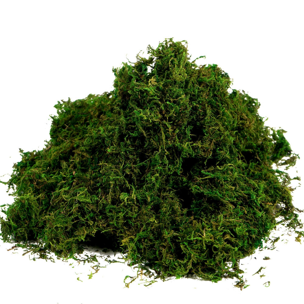 10g / 20 / 50g rêu nhân tạo rêu màu xanh lá cây giả cỏ rêu cho trung ...