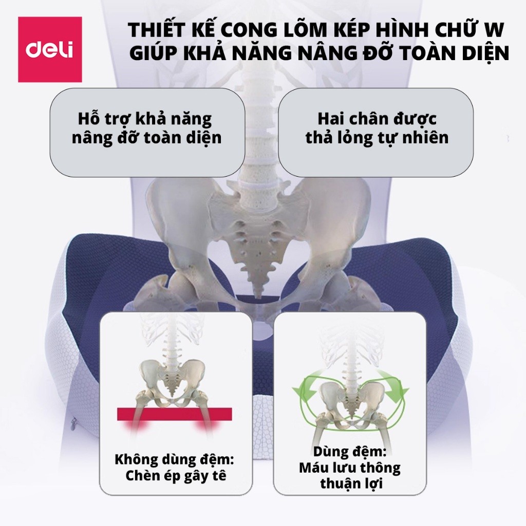 [Outlet S1] Đệm ghế ngồi văn phòng Deli thiết kế Thoáng Khí Chống Trĩ Chất Liệu Cao Su Non Giảm Ê Mỏi Điều Chỉnh Tư Thế