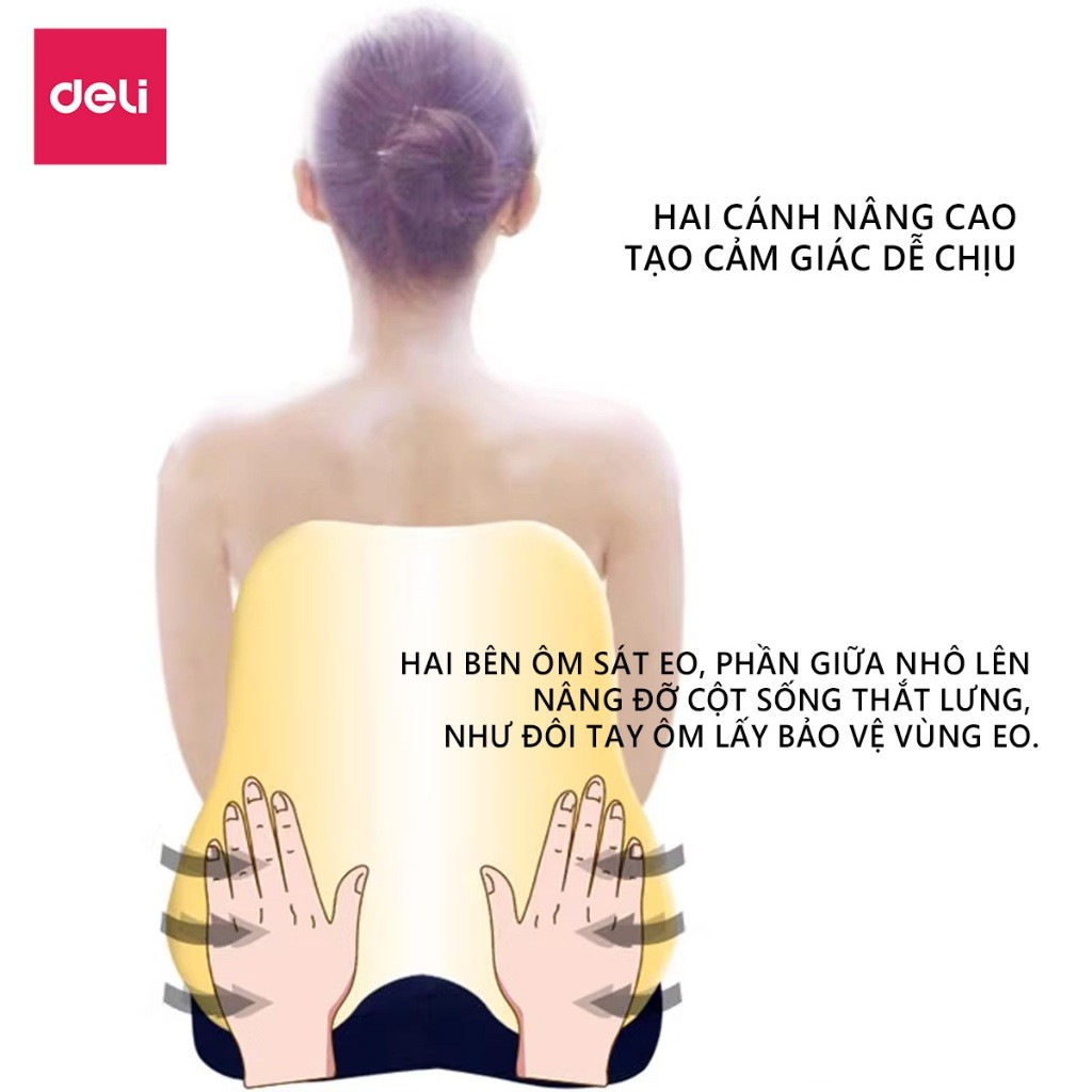 Combo Bộ gối tựa lưng và đệm Foam lót ghế văn phòng DELI, giảm đau mỏi chống gù lưng, hỗ trợ giảm đau ngồi lâu