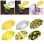 Jfory Ô gấp tự động nhẹ, tay cầm dạng vịt, chống nước - Thích hợp cho các chuyến đi