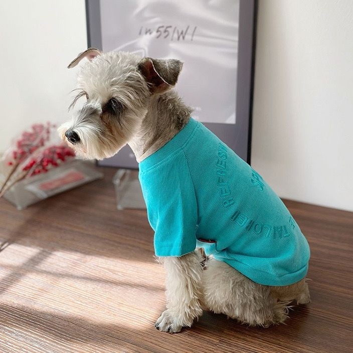 Quần áo thú cưng mỏng mùa xuân thu, Thích hợp cho Yorkshire, Bichon, Teddy và Schnauzer, Thiết kế thêu màu kẹo, Thích hợp cho mèo