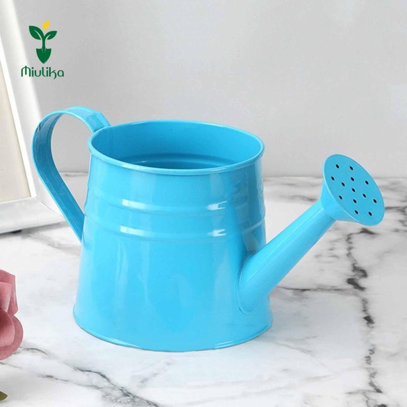 Bình tưới nước bằng kim loại Mini Miulika, Chậu trồng cây, Hộp đựng hoa mộc mạc đa năng 9.6x4.5