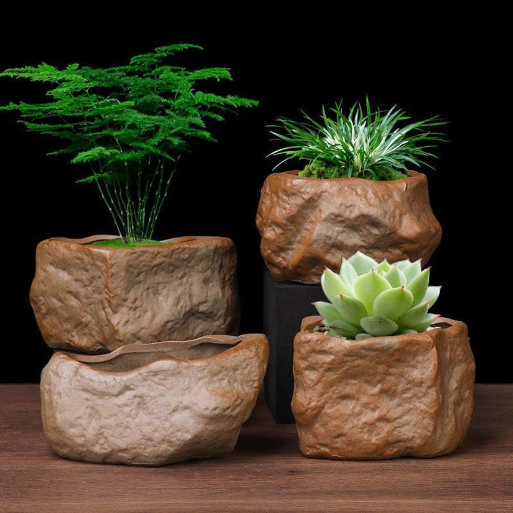 Chậu cây mọng nước DAYONE, có lỗ thoát nước Hình dạng đá Chậu hoa thực vật, Gốm sứ Mini chống mài mòn Cây trồng Hộp đựng trang trí nhà cửa