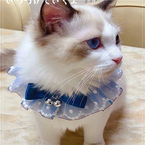 【Ready Stock】 Pet Dog Teddy Princess Lace Saliva Towel Muppet Cat Cute Scarf Bow Triangular Binder Bib Collar oOV8