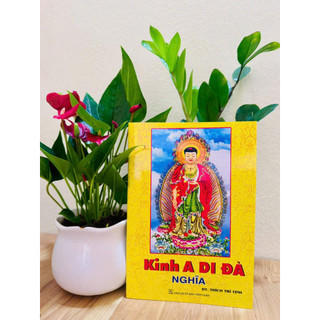 Sách - Kinh A Di Đà nghĩa ( bìa mềm)