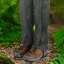 Cắm Trại Gaiters Thoáng Khí Màu Đen, Chống Thấm Nước Cho Đi Bộ Và Leo Núi