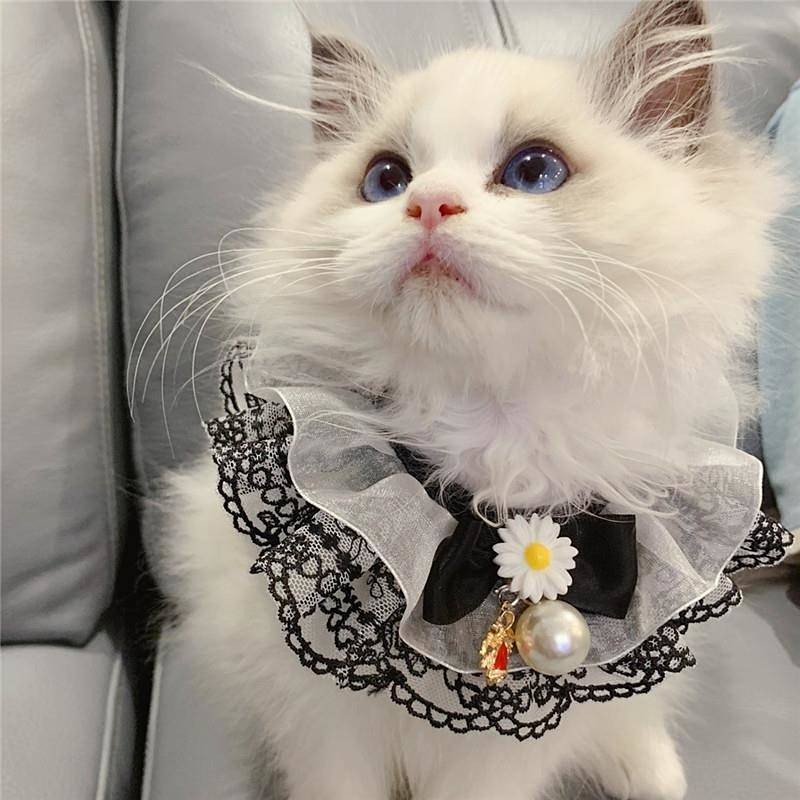 【Ready Stock】 Pet Dog Teddy Princess Lace Saliva Towel Muppet Cat Cute Scarf Bow Triangular Binder Bib Collar oOV8