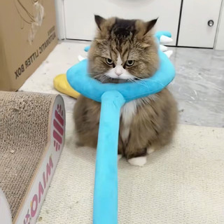 Đồ chơi cho chó mèo, Tương tác vui nhộn sang trọng tấn công Stick Catcher, Cat Teaser, Đồ chơi cho mèo Chiikawa, Cây đũa phép mèo sang trọng