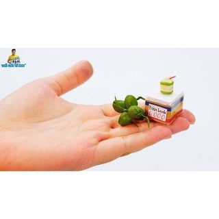 Mô hình gỗ tự lắp ráp DIY - Thế Giới Tí Hon - Xe Hàng Rong- XE DỪA- HR17 (Sản phẩm chưa kèm keo)