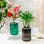 Chậu hoa PWSEND, Chậu cây thủy canh bằng nhựa tự tưới, Chậu trồng cây mọng nước Mini có thể tháo rời sáng tạo