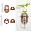 Bình treo tường PWSSEND, Hộp đựng chậu hoa trong suốt, Cây thủy canh tối giản Giá đỡ cây trồng hình nón để trang trí văn phòng tại nhà