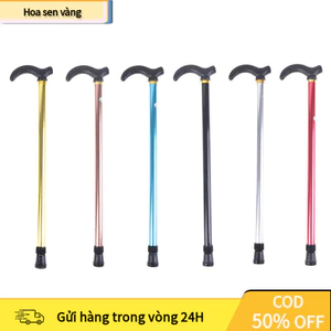【24H】Gậy đi bộ/leo núi 2 phần ổn định chống trượt phù hợp cho mọi lứa tuổi