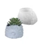 Stay Silicone Flowerpot Khuôn Hình Động Vật Cốc Khuôn Silicon Thủ Công Khuôn Làm Cây mọng Nước Khuôn Làm Thủ Công